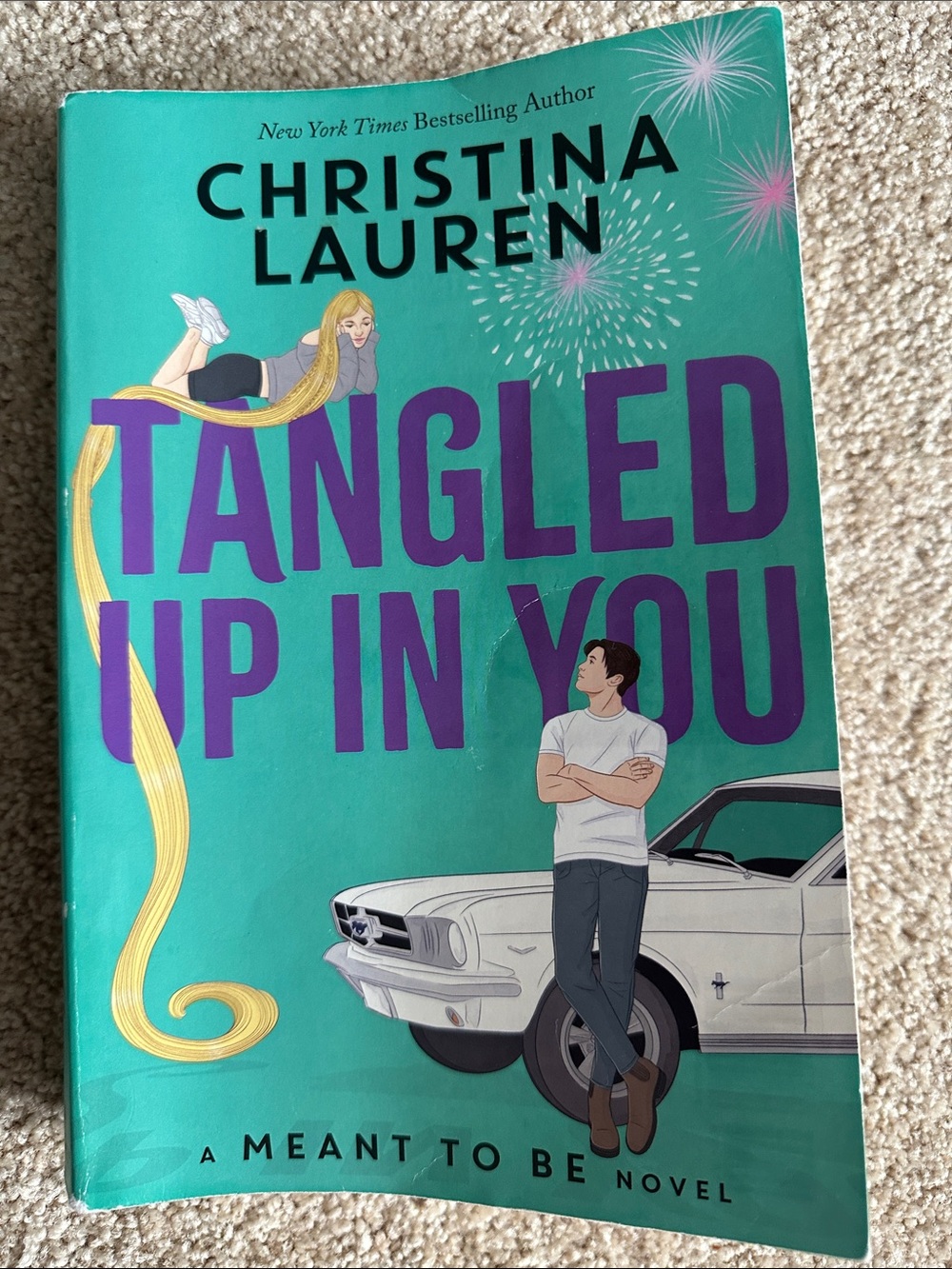 Christina Lauren "Tangled Up In You" Paperback - Teal & Purple Cover